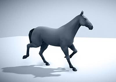 3D model of a horse under motion capture system