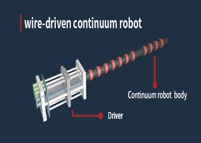 structure of the wire-driven continuum robot