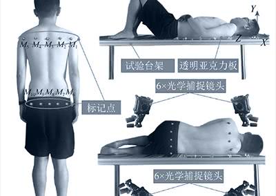 A subject demonstrates the process of human supine turning experiment