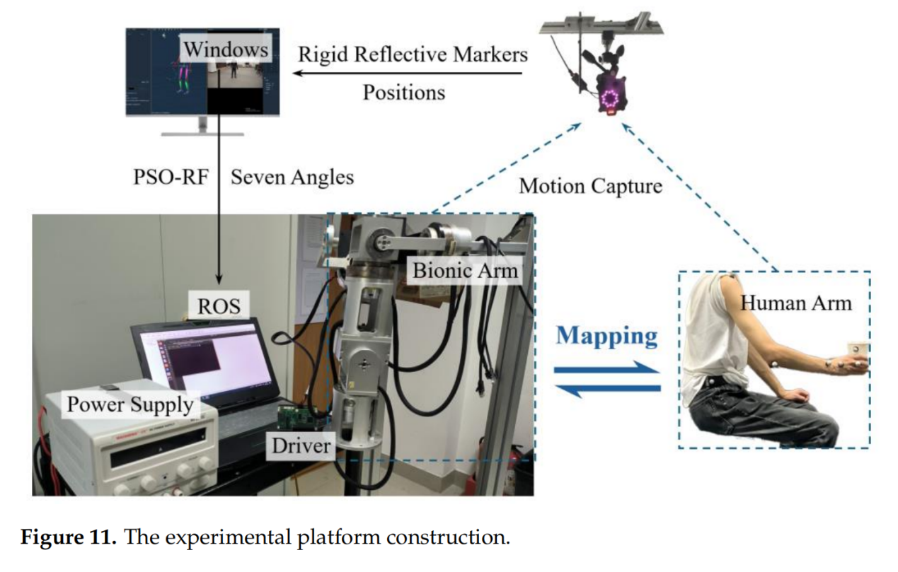 预测精度验证可视化结果