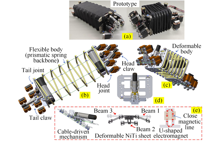 哈工大团队研发的可伸缩棱柱弹簧连续体爬行机器人原型，展示其柔性主干、旋转关节与主动变形爪结构，适用于核电设备等狭窄空间巡检。