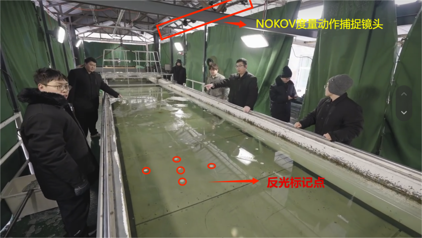 图2 哈尔滨工程大学船舶学院 模拟风浪流环境实验水池 NOKOV度量动捕系统