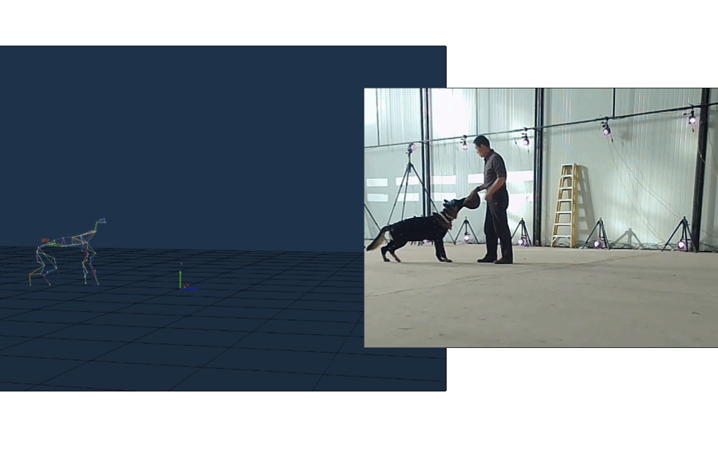 同步视频录制，视角自由组合