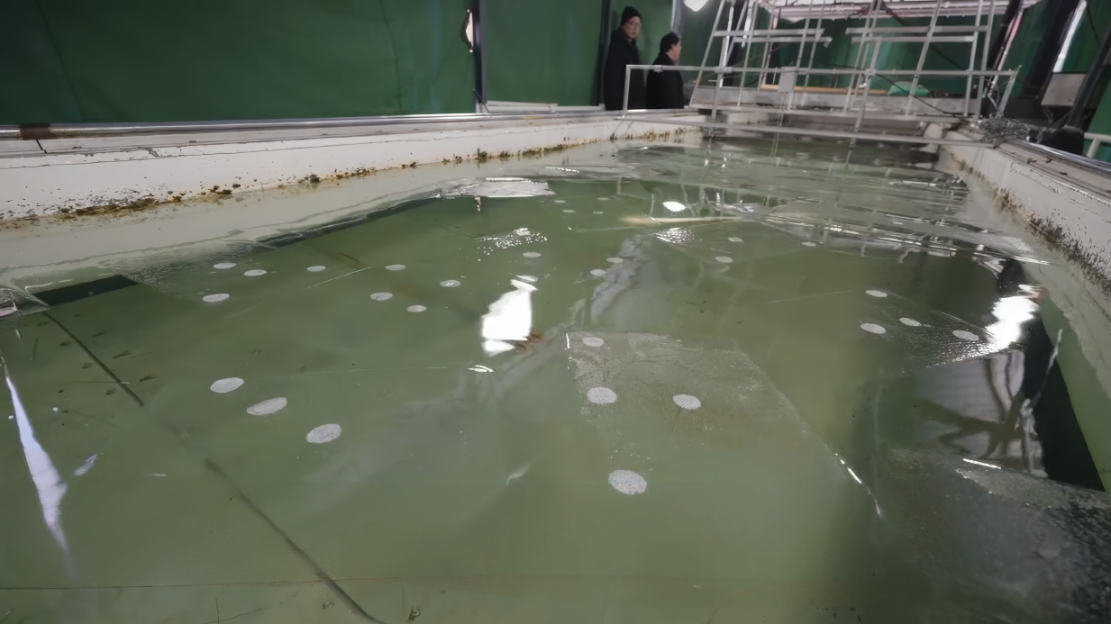 水面浮冰运动轨迹捕捉